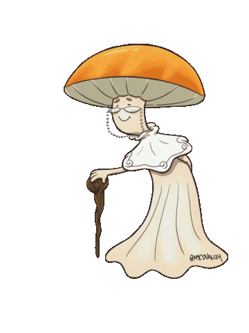 Magic Wizard Sticker