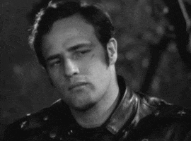 marlon brando laslo benedek GIF by Maudit