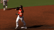 Lets Go Baseball GIF by Cincinnati Bearcats