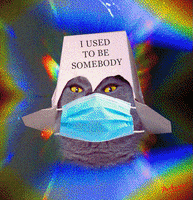 Fashion Cats GIF by PEEKASSO