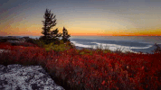 west virginia GIF