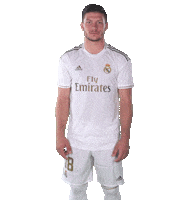 La Liga Football Sticker by Real Madrid