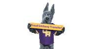 Great Dane Damien Sticker by UAlbany