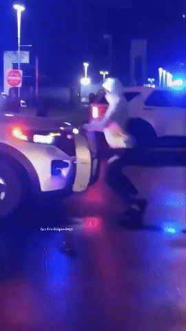 freefireshitpostings giphycreatortest freefireshitpostings GIF