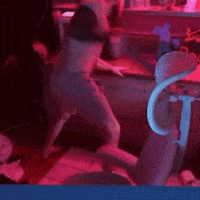 Angry No Way GIF by Mongraal