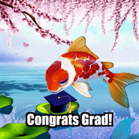 Koi Fish Graduation GIF by TheConfishius