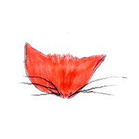 Tired Cat Sticker by diyala muir