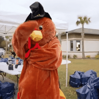 Thanksgiving Turkey GIF by The Lovely Law Firm Injury Lawyers