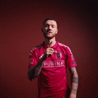 Stl Cello GIF by St. Louis CITY SC