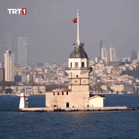 Icon Love GIF by TRT