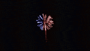 4th of july america GIF