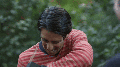 Zafer GIF by Show TV