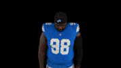 Football Nfl GIF by Detroit Lions