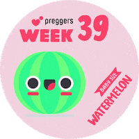 Baby Watermelon Sticker by Preggers