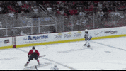 hockey falling GIF by Capitals