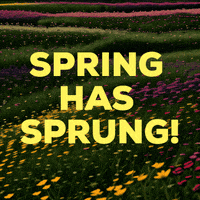 Spring GIF by Justin