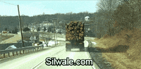 bad turn GIF by Silwale