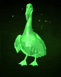 Rare Bird Pelican GIF