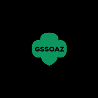 GirlScoutsofSouthernAZ girl desert arizona cactus GIF