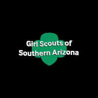 GirlScoutsofSouthernAZ arizona cactus tucson girl scouts GIF