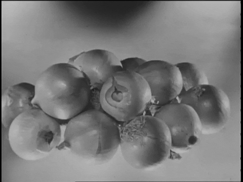 Onions Casserole GIF by US National Archives