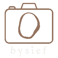 Camera Photographer Sticker by bysief