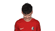 Look Up Sc Freiburg Sticker by Bundesliga