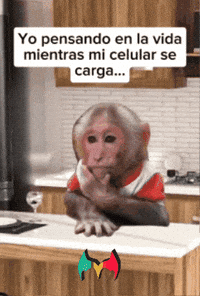 Pensando En La Vida GIF by Murcianys LLC