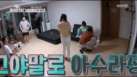 jagn giphygifmaker GIF