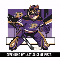 Ice Hockey Illustration GIF by Doge Pound