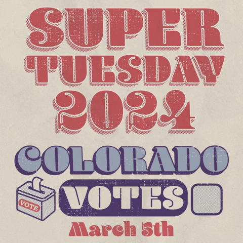 Super Tuesday Vote GIF