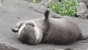 Relaxing Live Your Life GIF