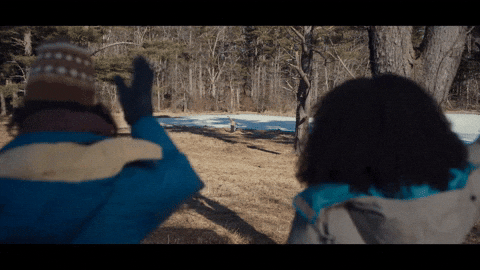 Forest Hello GIF by VVS FILMS