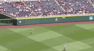 Texas Am Baseball GIF by NCAA Championships