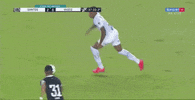GIF by Santos Futebol Clube