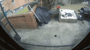 let's eat nom GIF by Nest