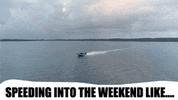 catchmorefish fishing weekends GIF