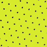 Fruit Kiwi GIF by Feliks Tomasz Konczakowski