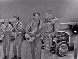 The Beach Boys GIF