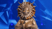 Sun GIF by The Masked Singer