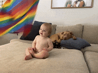 GIF by Hopkins Wrestling