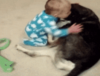 GIF by Mashable