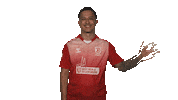 Ssv Jahn Regensburg Hello Sticker by Bundesliga