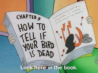 rockos modern life nicksplat GIF