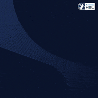 Handball Berlin GIF by DAIKIN HBL
