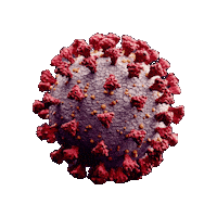 Virus Spinning Sticker