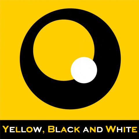 yellowblackandwhite ybw yellow black and white GIF