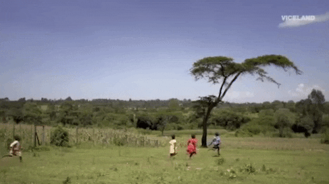 viceland GIF by VICE WORLD OF SPORTS