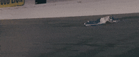 Ricky Bobby Sony GIF by Talladega Nights