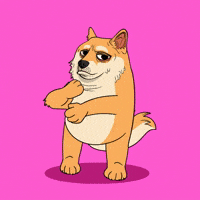 So Excited Omg GIF by Doge Pound